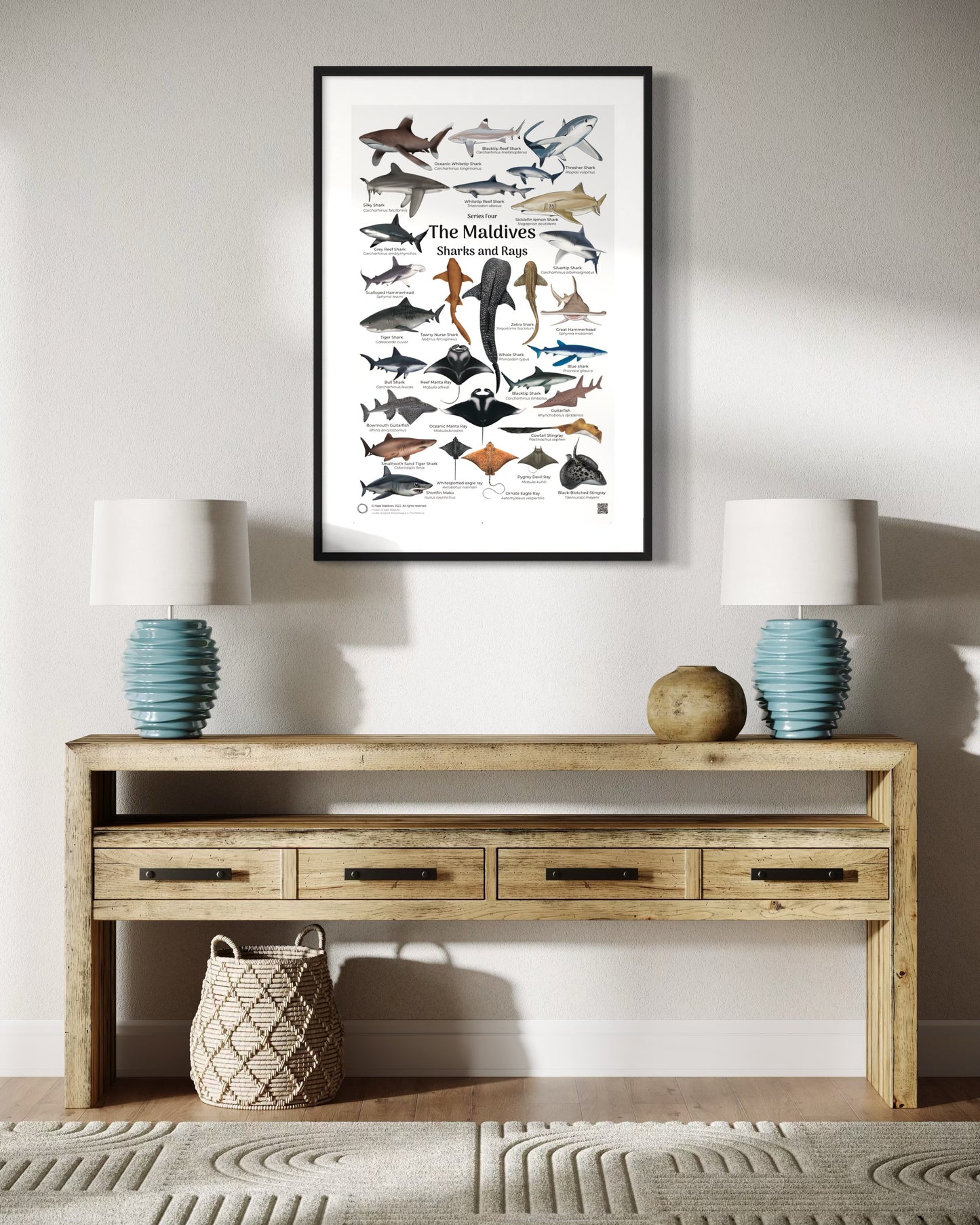 Maldives Marine Fauna Poster Series