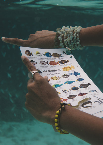Waterproof Fish Cards  Bundle of 20sets English