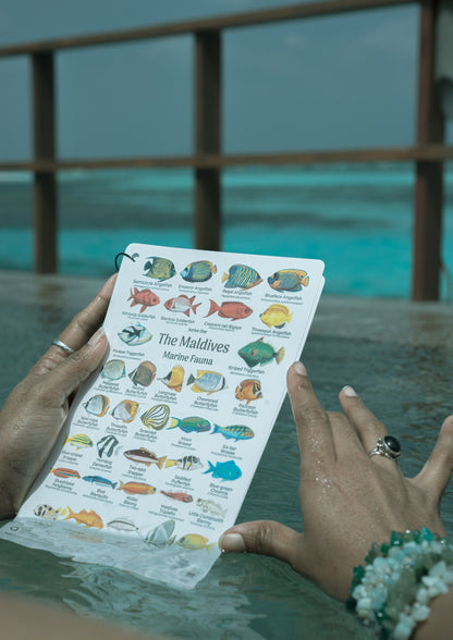 Waterproof Fish Cards  Bundle of 20sets English