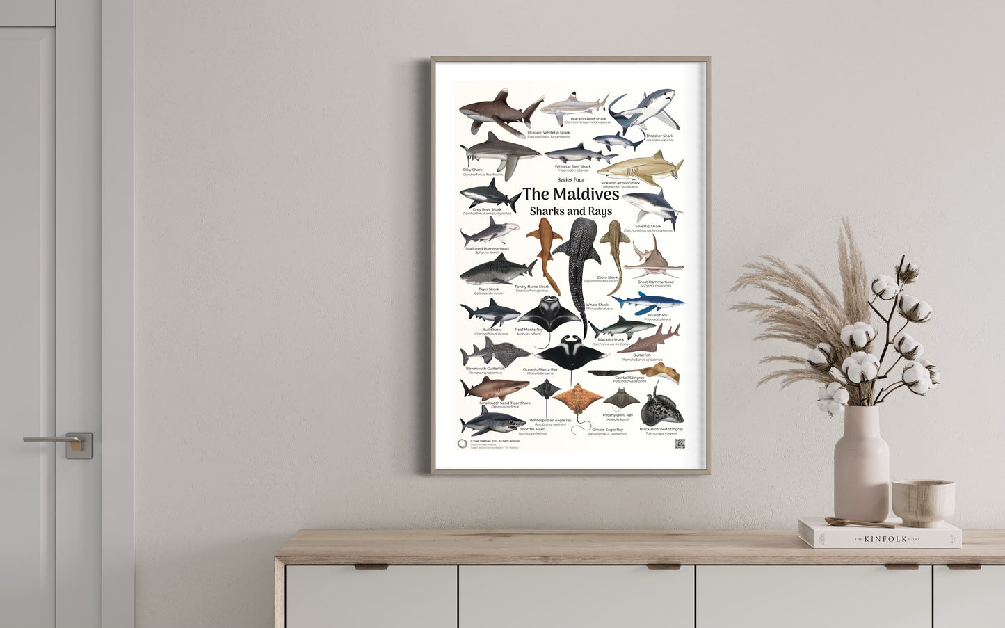 Posters -The Maldives Marine Fauna