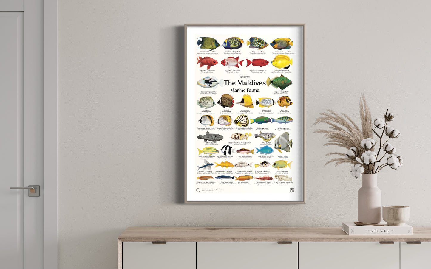 Posters -The Maldives Marine Fauna