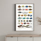 Posters -The Maldives Marine Fauna