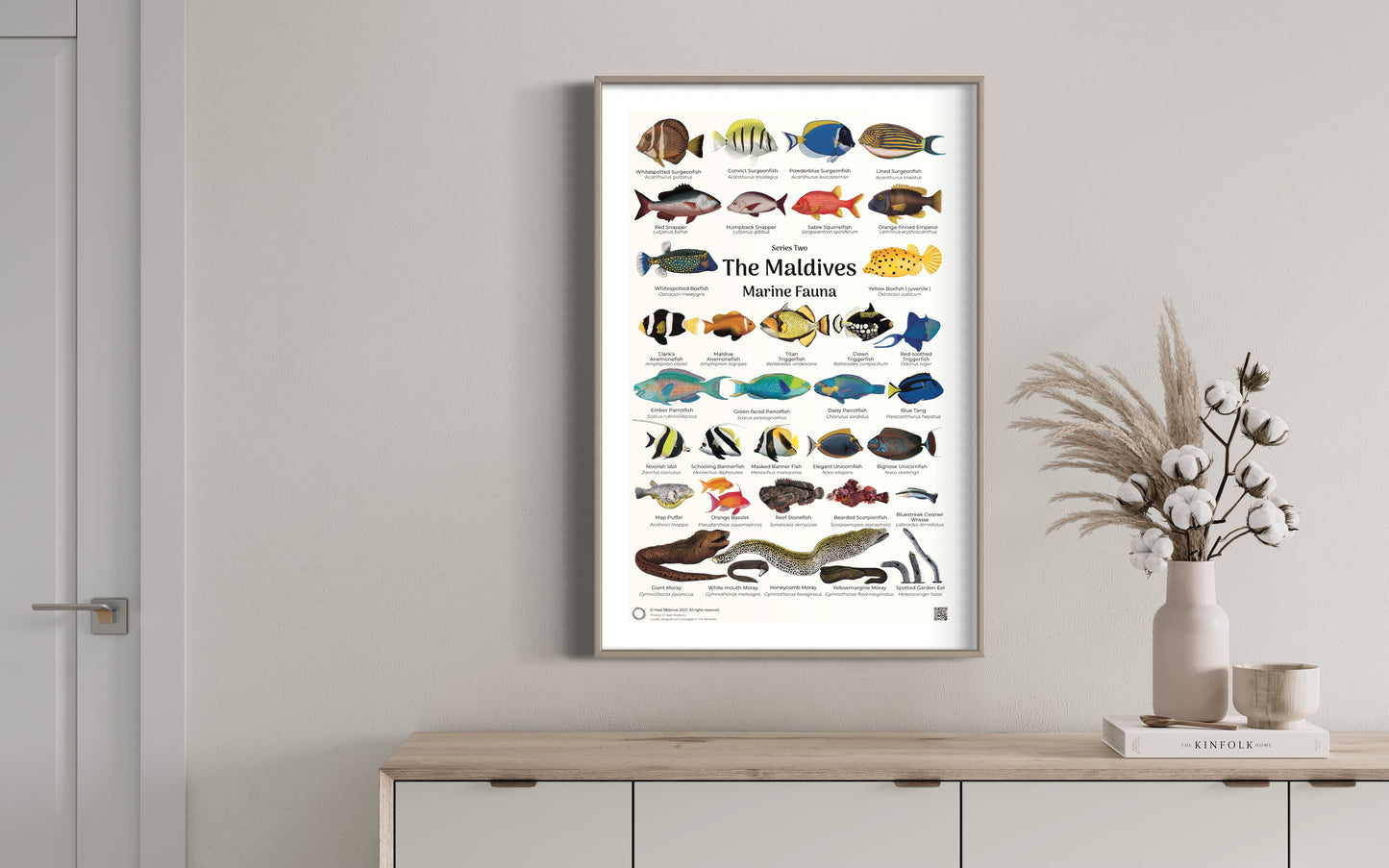 Posters -The Maldives Marine Fauna