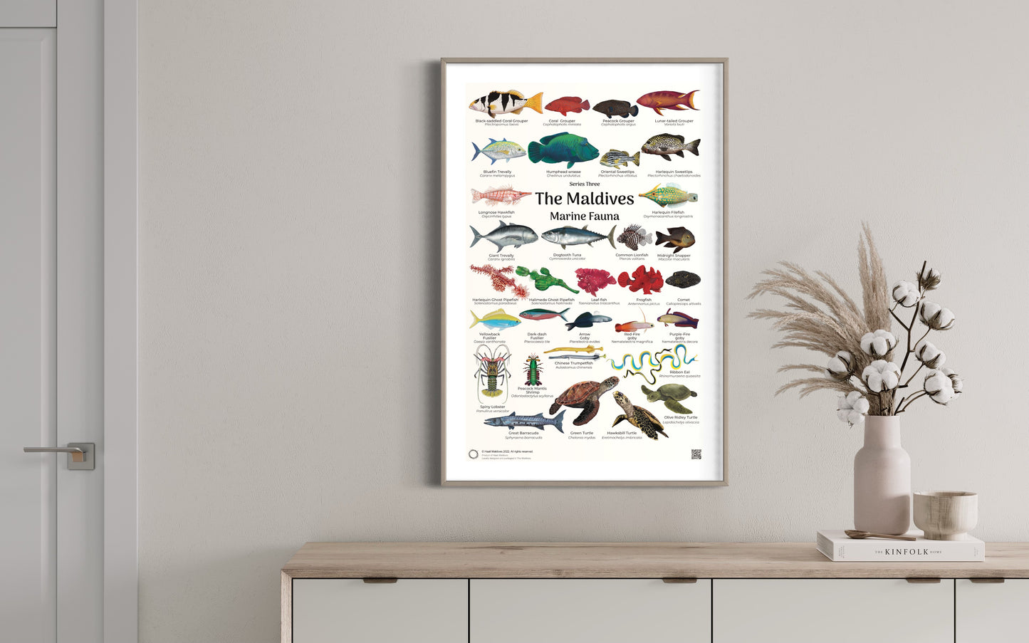 Posters -The Maldives Marine Fauna